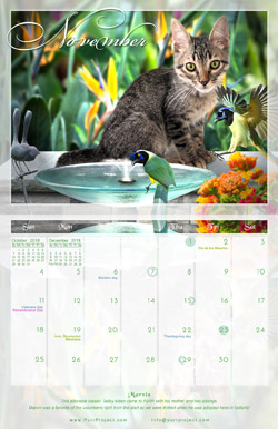 PuRR Project - Novembre Calendar pic