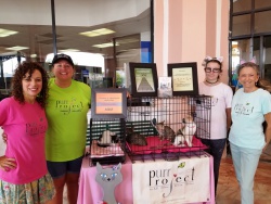 Plaza Marina adoptions 