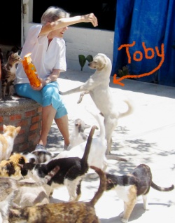 A look back at Toby