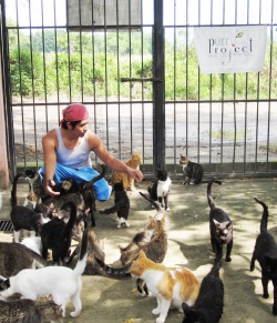 Jose & the kitties