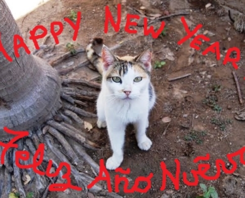 PuRR Project Newsletter January 2020 - Puerto Vallarta