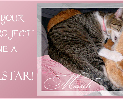 PuRR Project - Puerto Vallarta - March 2021 Newsletter