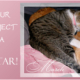 PuRR Project - Puerto Vallarta - March 2021 Newsletter