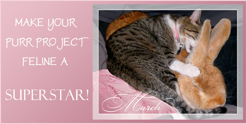 PuRR Project - Puerto Vallarta - March 2021 Newsletter