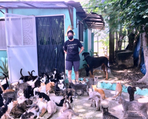 Purr Project Newsletter September 2021