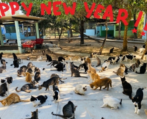 January 2022 Newsletter PuRR Project