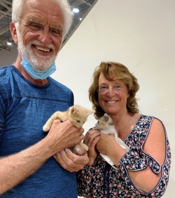 Kittens at the airport