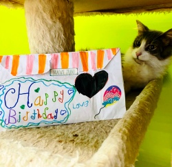 A Birthday Donation for PuRR Project in Puerto Vallarta