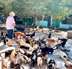 Pat surrounded by cats at PuRR Project in Puerto Vallarta
