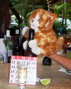 Orange stuffed animal cat with a bingo card