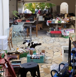 Garage Sale tables set up and black and white kitty walking around them