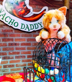 Stuffed animal kitty with the Bingo game