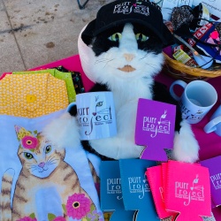 A stuffed kitty in the middle of colorful merchandise for sale at the PuRR Project booth