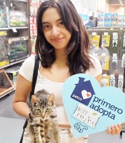 Sushi, the kitten, and her new owner 