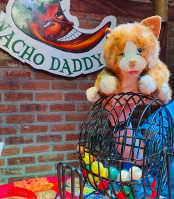 a stuffed animal cat with the bingo numbers