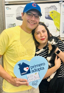 A couple posing with a black and white kitten