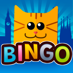 an orange cartoon kitty with the words bingo written across it