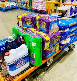 A cart full of Supplies for the cats