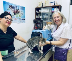 Two women and two cats