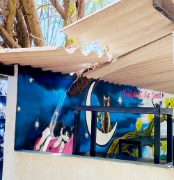 Damage from a tree that has fallen through a roof