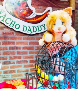 The Purr Project mascot, a stuffed animal kitty, with the bingo game