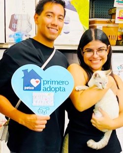 siamese kitten with new family