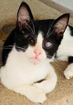 Lalo in the PuRR Nursery