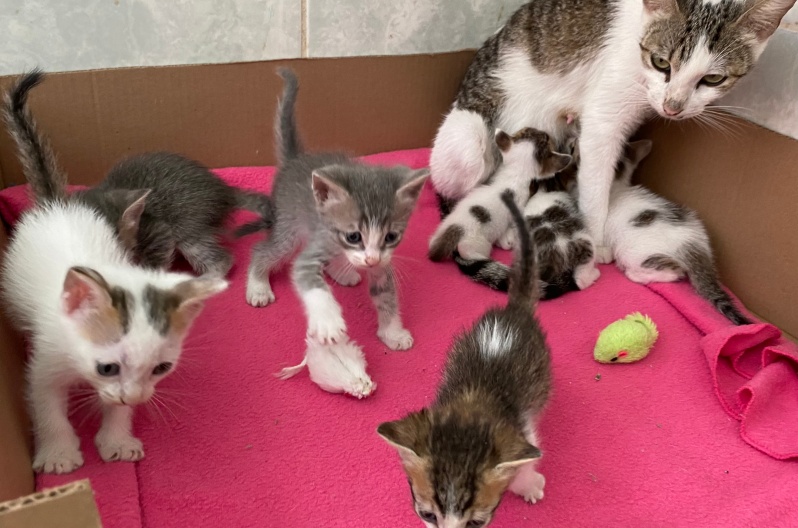 Header June 2026